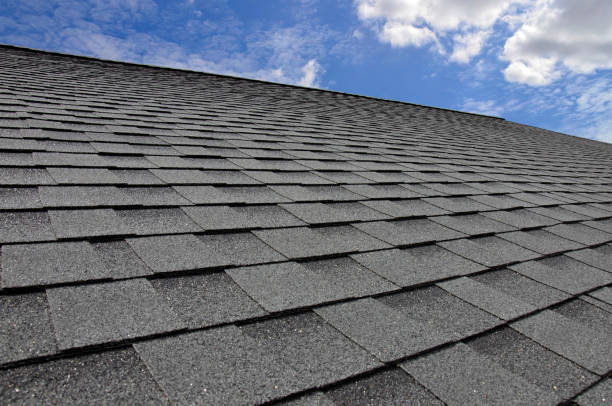 Best Cold Roofs  in Pigeon, MI